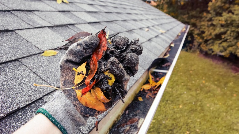 Gutter Cleaning - Myrtle Beach Gutter Guard Cover System Team